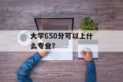大学650分可以上什么专业？