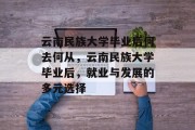 云南民族大学毕业后何去何从，云南民族大学毕业后，就业与发展的多元选择
