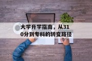 大学升学指南，从310分到专科的转变路径
