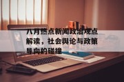 八月热点新闻政治观点解读，社会舆论与政策导向的碰撞
