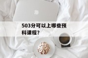503分可以上哪些预科课程？