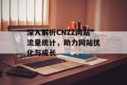 深入解析CNZZ网站流量统计，助力网站优化与成长