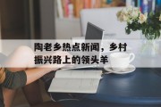 陶老乡热点新闻，乡村振兴路上的领头羊