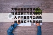 大学毕业后考公务员，难易度解析与策略探讨，大学毕业后考公务员，难易度解析与策略探讨