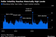 纽约汇市：美元上涨 波动率随美国大选临近而飙升
