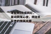 羊驼Wink成网红，萌动网友心弦，揭秘羊驼界的微笑大师