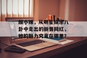 颜小妹，从明星娱乐八卦中走出的新晋网红，她的魅力究竟在哪里？