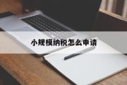 小规模纳税怎么申请