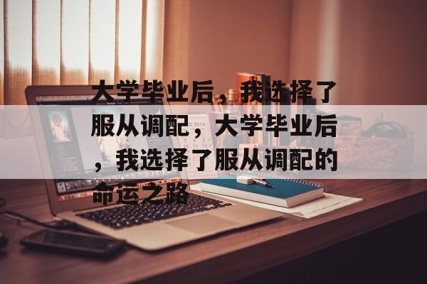 大学毕业后，我选择了服从调配，大学毕业后，我选择了服从调配的命运之路
