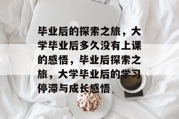 毕业后的探索之旅，大学毕业后多久没有上课的感悟，毕业后探索之旅，大学毕业后的学习停滞与成长感悟