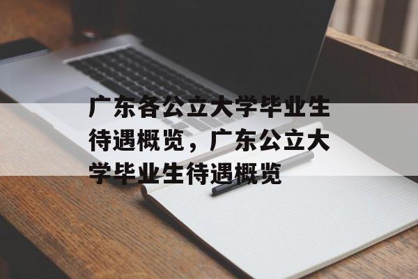 广东各公立大学毕业生待遇概览，广东公立大学毕业生待遇概览