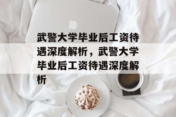 武警大学毕业后工资待遇深度解析，武警大学毕业后工资待遇深度解析