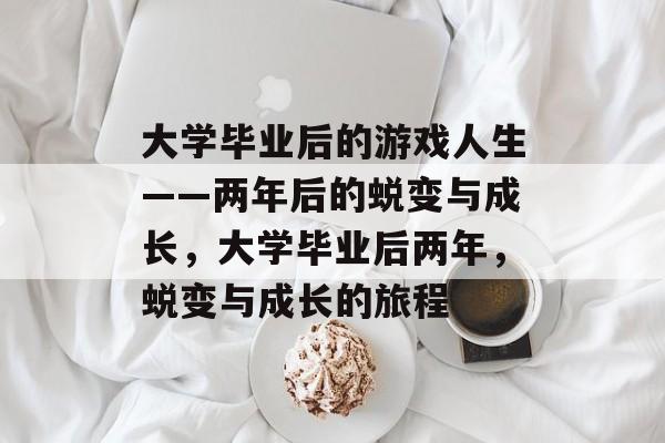 大学毕业后的游戏人生——两年后的蜕变与成长，大学毕业后两年，蜕变与成长的旅程
