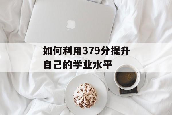 如何利用379分提升自己的学业水平