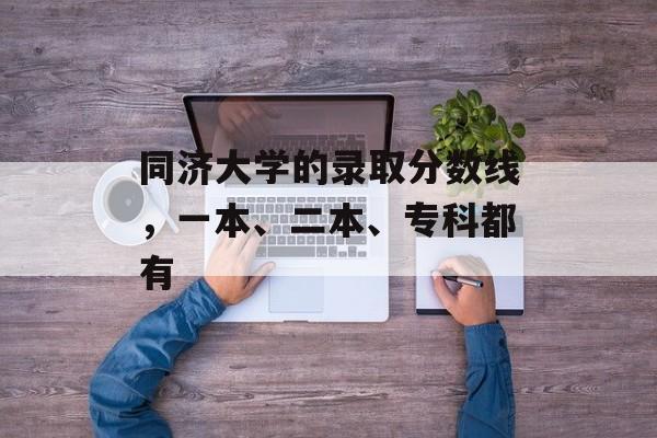 同济大学的录取分数线，一本、二本、专科都有