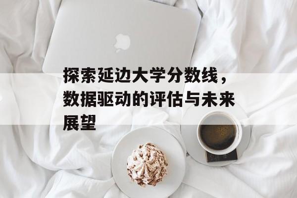 探索延边大学分数线，数据驱动的评估与未来展望