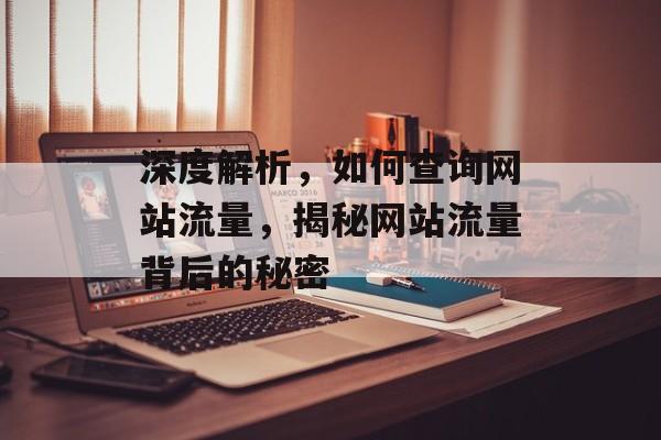 深度解析，如何查询网站流量，揭秘网站流量背后的秘密