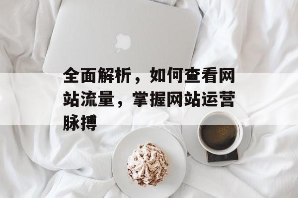 全面解析，如何查看网站流量，掌握网站运营脉搏