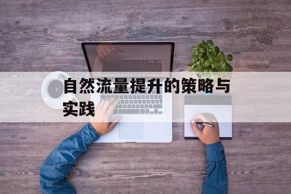自然流量提升的策略与实践