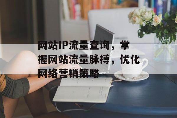 网站IP流量查询，掌握网站流量脉搏，优化网络营销策略