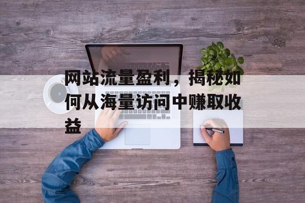网站流量盈利，揭秘如何从海量访问中赚取收益