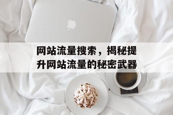 网站流量搜索，揭秘提升网站流量的秘密武器