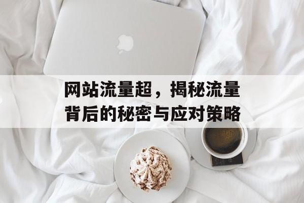 网站流量超，揭秘流量背后的秘密与应对策略