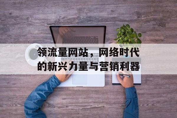 领流量网站，网络时代的新兴力量与营销利器