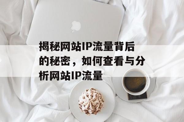 揭秘网站IP流量背后的秘密，如何查看与分析网站IP流量