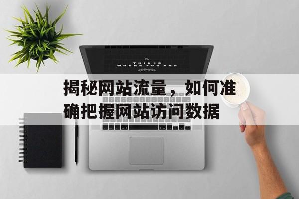 揭秘网站流量，如何准确把握网站访问数据
