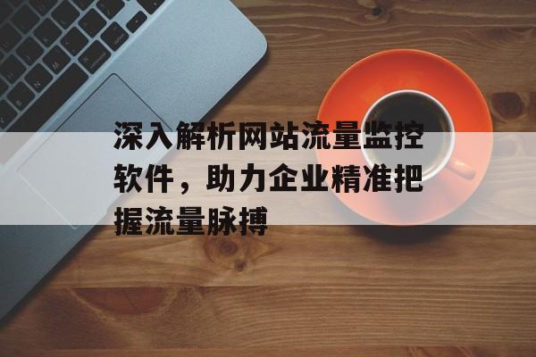 深入解析网站流量监控软件，助力企业精准把握流量脉搏