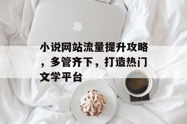 小说网站流量提升攻略，多管齐下，打造热门文学平台