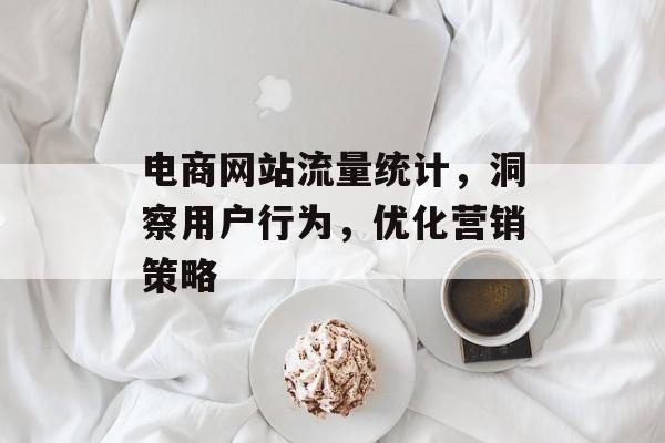 电商网站流量统计，洞察用户行为，优化营销策略