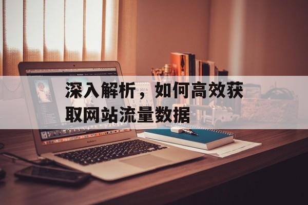 深入解析，如何高效获取网站流量数据