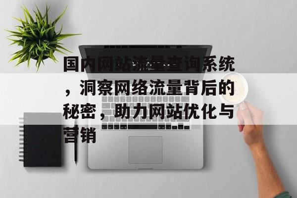 国内网站流量查询系统，洞察网络流量背后的秘密，助力网站优化与营销
