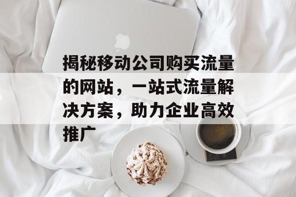 揭秘移动公司购买流量的网站，一站式流量解决方案，助力企业高效推广