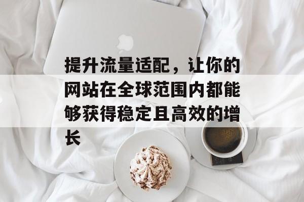提升流量适配，让你的网站在全球范围内都能够获得稳定且高效的增长