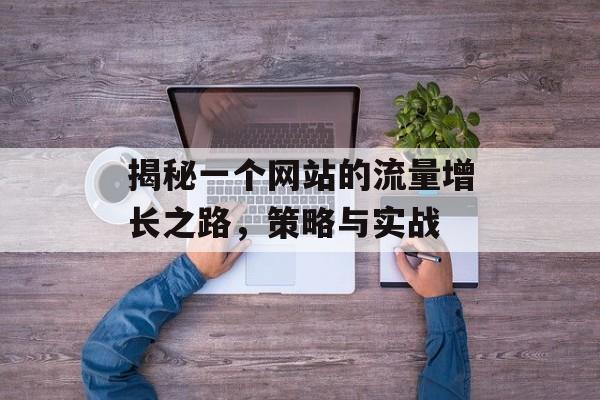 揭秘一个网站的流量增长之路，策略与实战