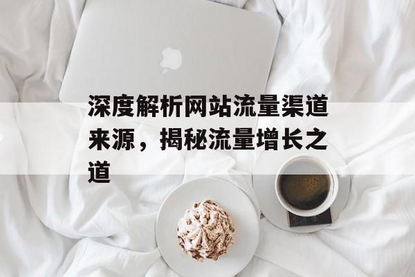 深度解析网站流量渠道来源，揭秘流量增长之道