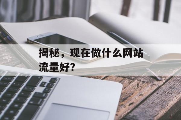 揭秘，现在做什么网站流量好？