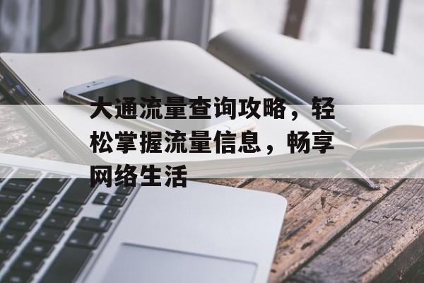 大通流量查询攻略，轻松掌握流量信息，畅享网络生活