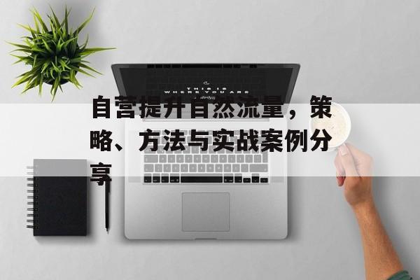 自营提升自然流量，策略、方法与实战案例分享