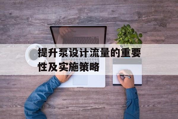 提升泵设计流量的重要性及实施策略