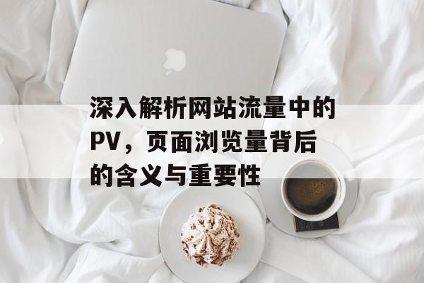 深入解析网站流量中的PV，页面浏览量背后的含义与重要性