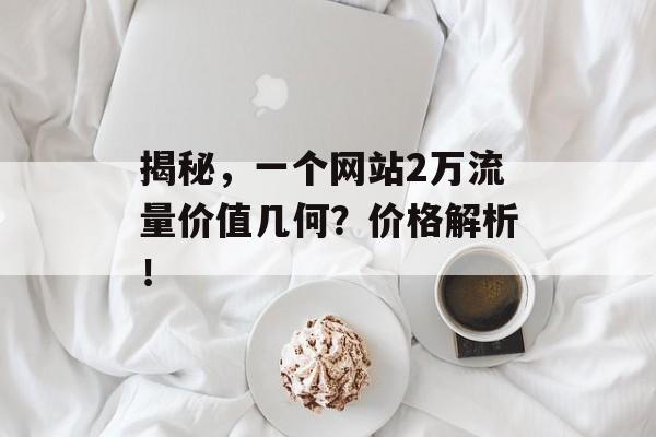 揭秘，一个网站2万流量价值几何？价格解析！
