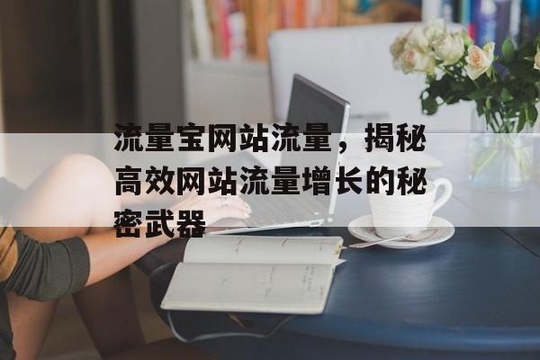 流量宝网站流量，揭秘高效网站流量增长的秘密武器