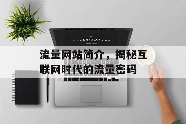 流量网站简介，揭秘互联网时代的流量密码
