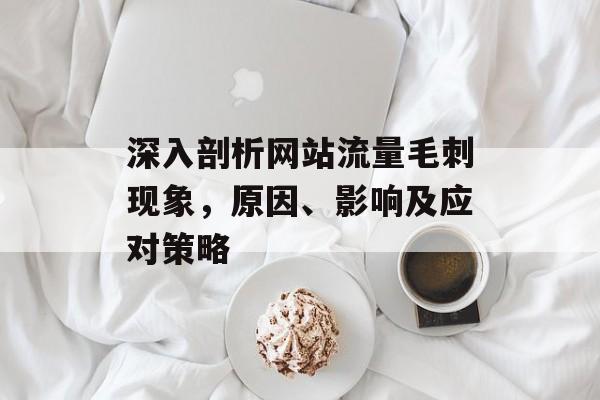 深入剖析网站流量毛刺现象，原因、影响及应对策略