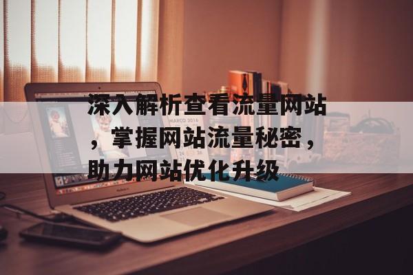 深入解析查看流量网站，掌握网站流量秘密，助力网站优化升级