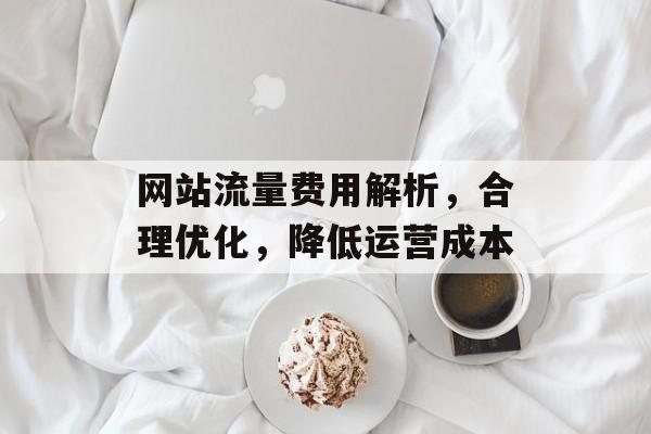 网站流量费用解析，合理优化，降低运营成本